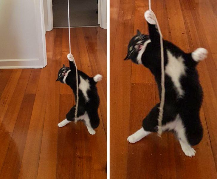 482c495347ad8e57a3dad5b943 482c495347ad8e57a3dad5b943