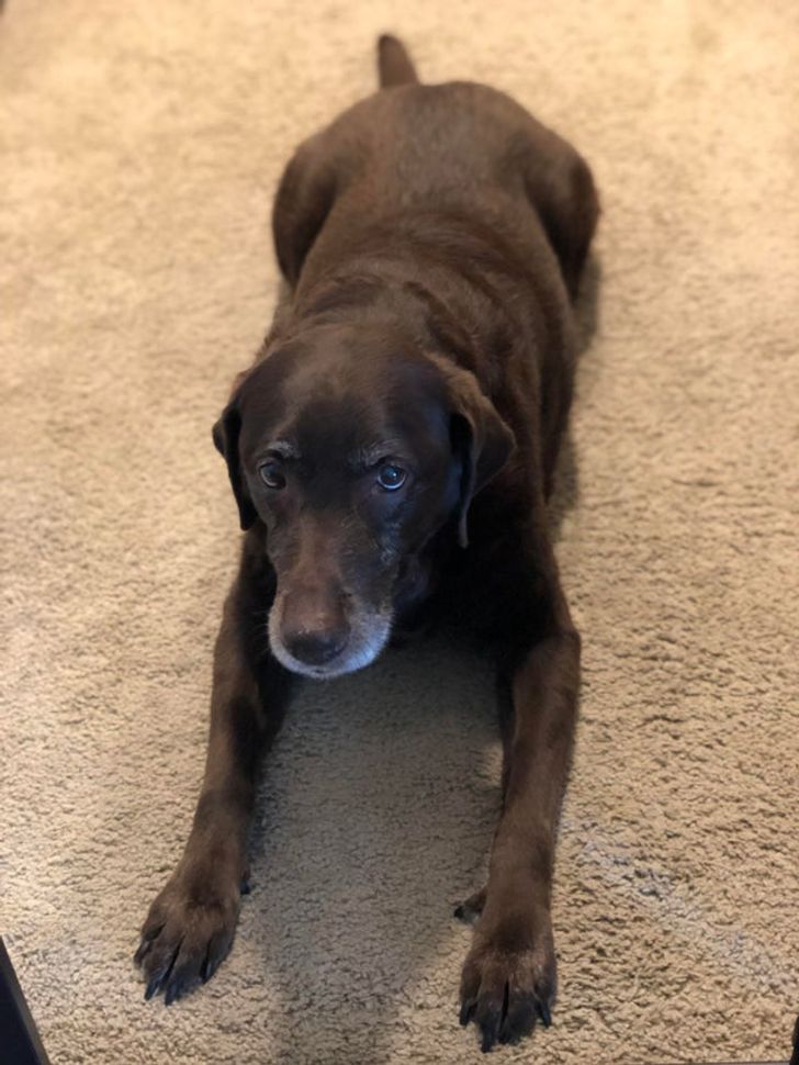 483484516893d33e2c26b04daa