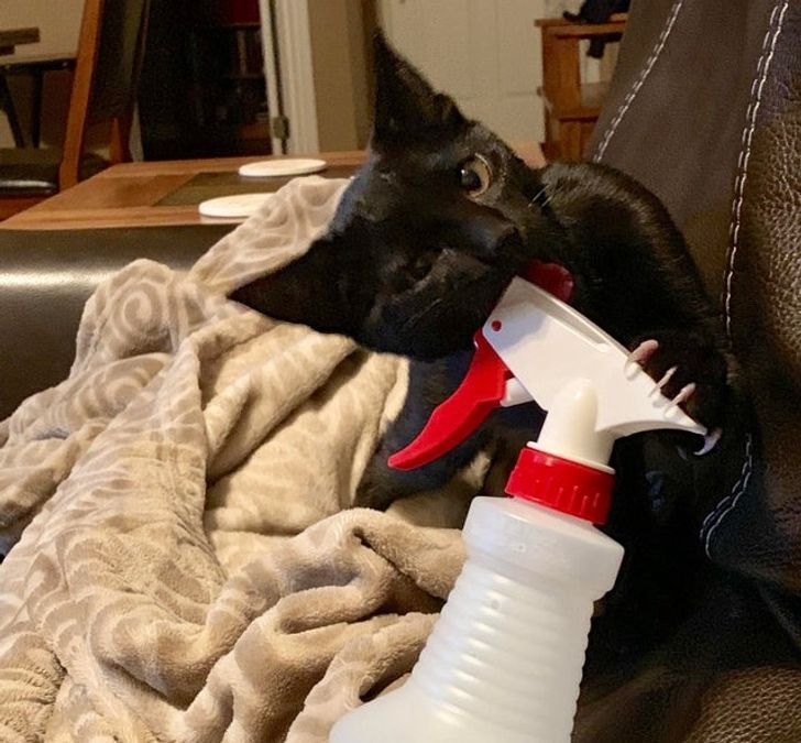 4837f05e0e9dab6fdafefce459