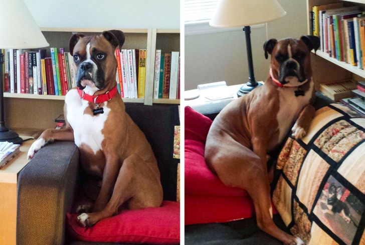 48383d5c78891eca4a55217511