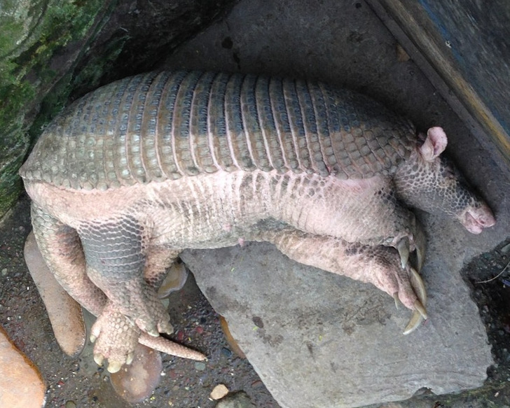 4838ca54478376a241dcd69901