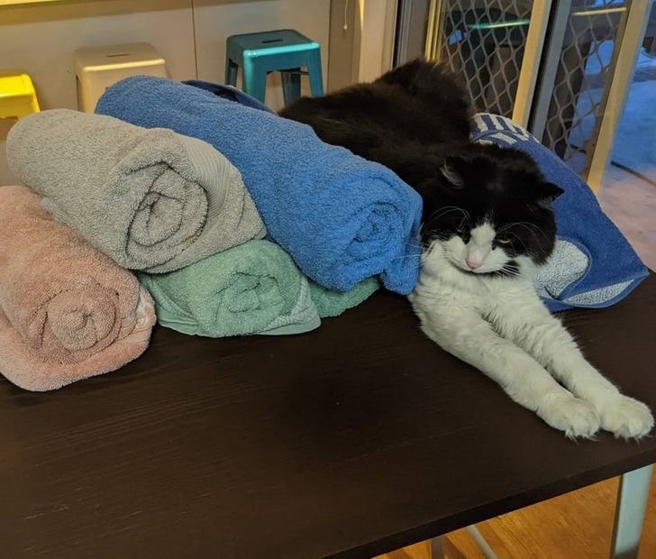 4842d45bb69920b7a7d343cb4d 4842d45bb69920b7a7d343cb4d