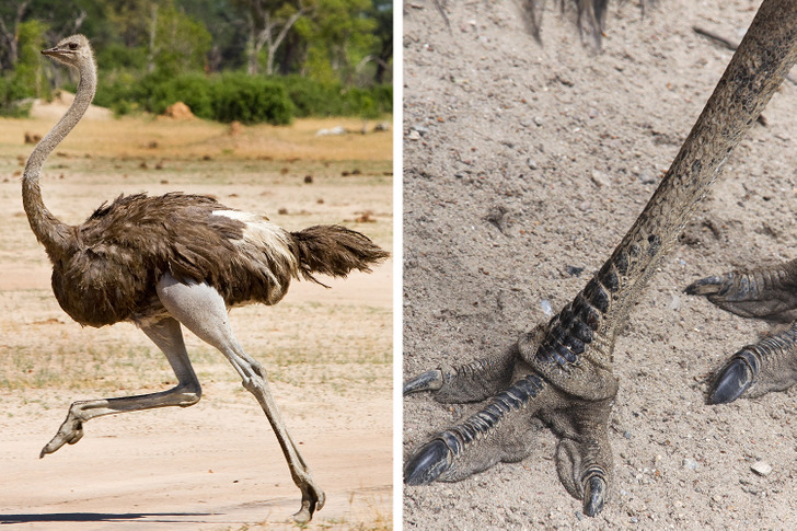 484db553b698601d065b6b265d