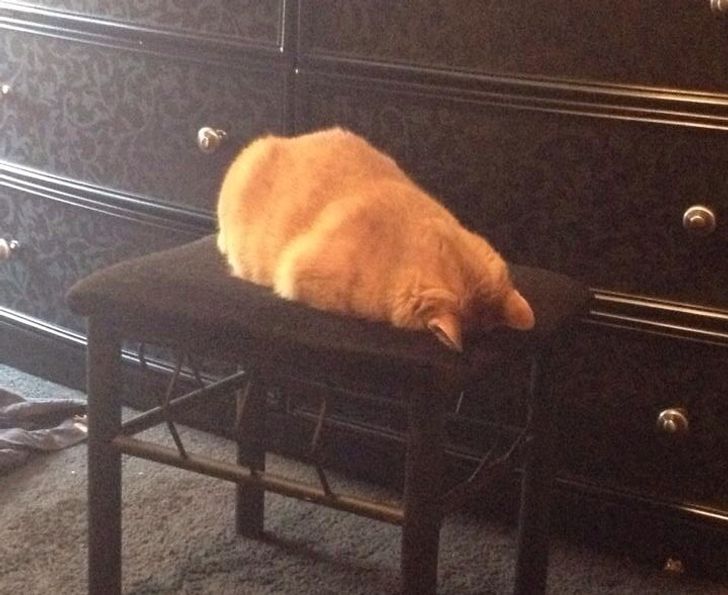 485f715d89ad168f3478f639be