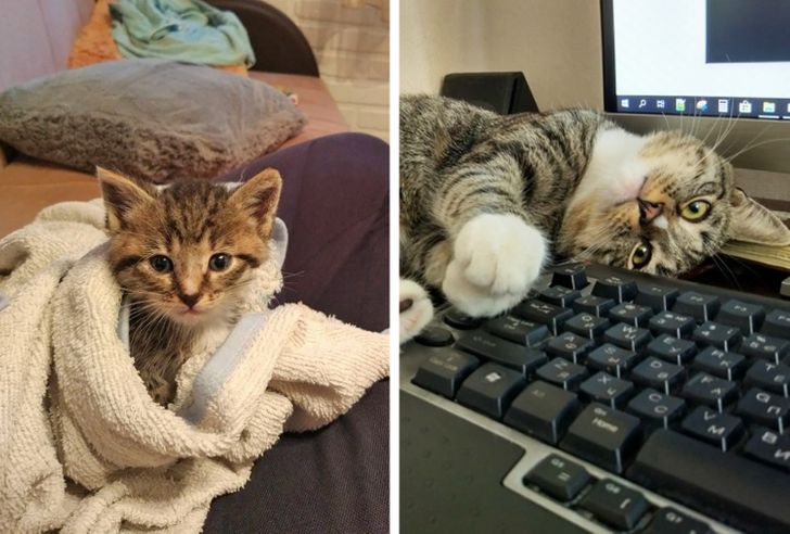 48610f5e28aa4c169a2b76f9e7