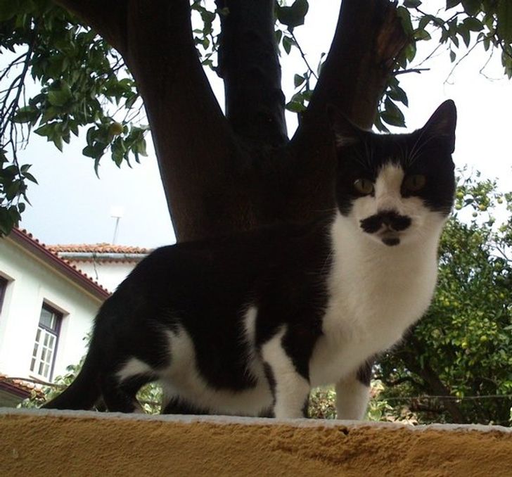 48641e512e8f856f72df81d1b1