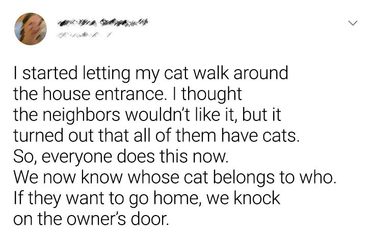 486d5154a89c7429f7e5503f6a