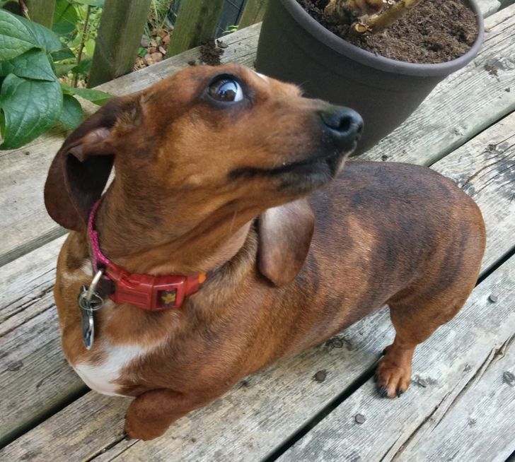 4870815786ba35c38a35c82c58