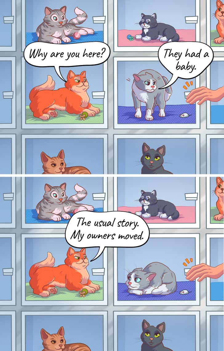 4871ac57aa8d1756cd895cc964