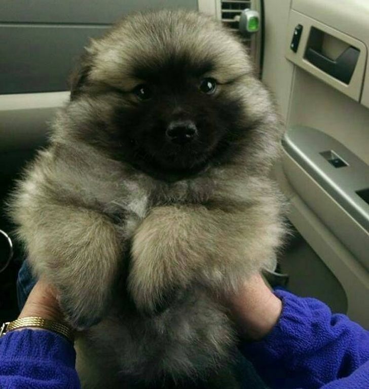 4879145fc2be6ecd99246ecead