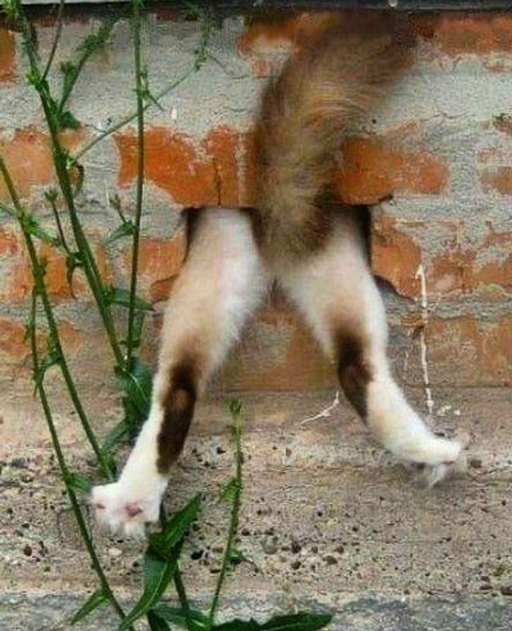 4879965b248e37e65c7588d983