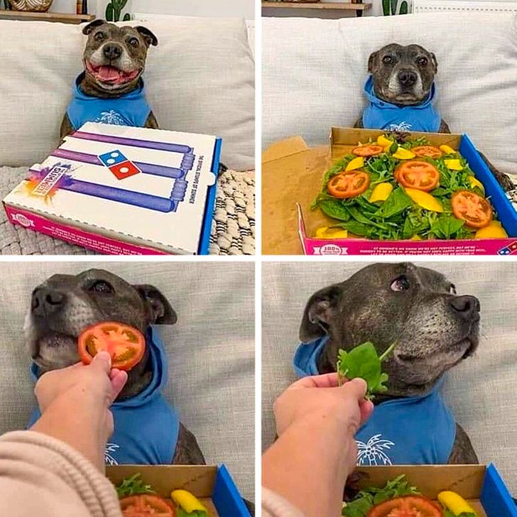 488b8a5132b69f25436822bc8e