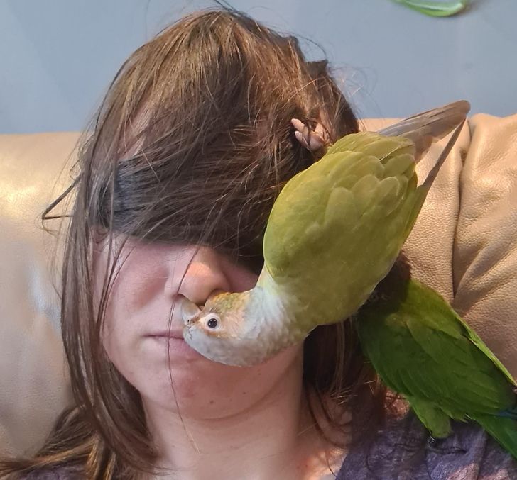 48930852eeb7df26e868ebaf62