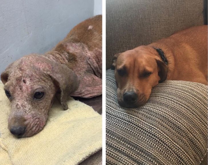 4894915fff8dae0a3f628b9607