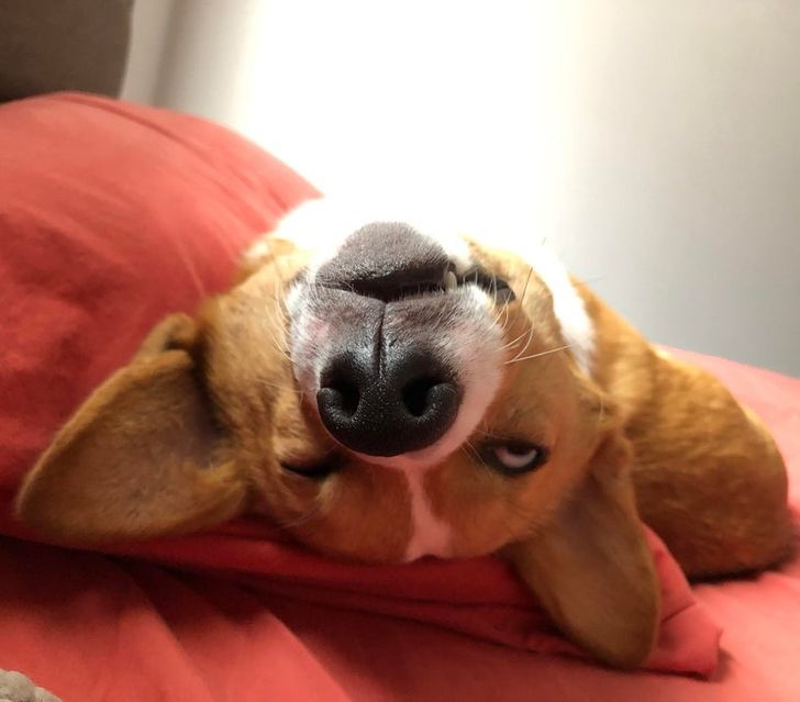 489b235892a69059b8a082d4e8