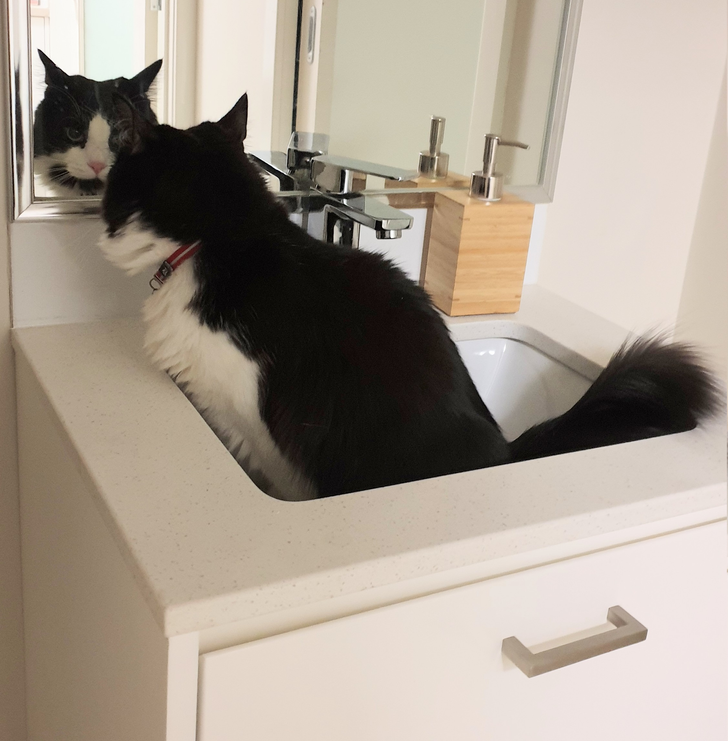 48a27e5d5aa135b859d62b01ca