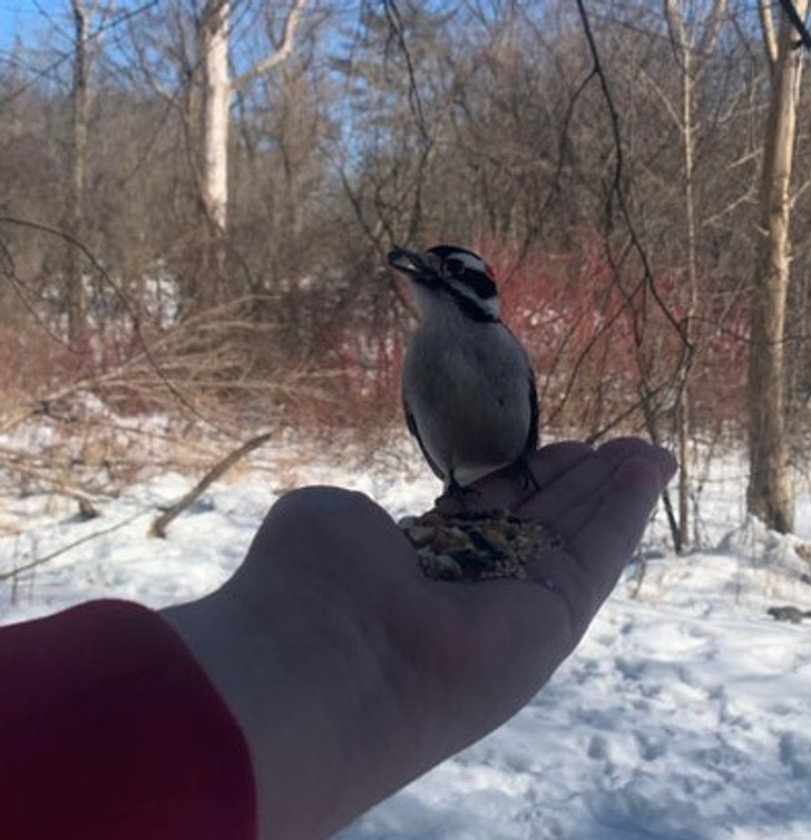 48a7d15ffc9e06a8c6a2fac09e