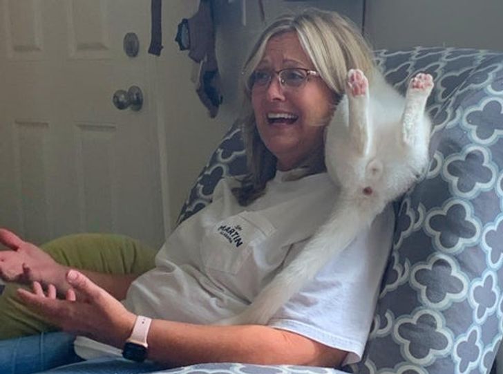 48ab1d5f22bfdabd73891a6156