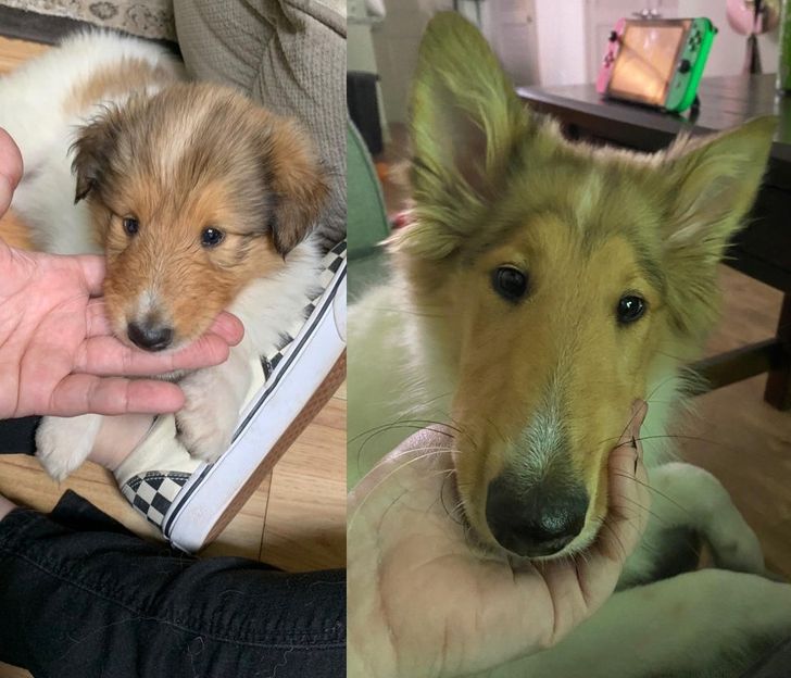 48ad0c5699b80071eff7641e26