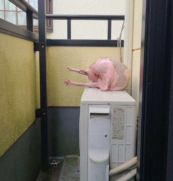 48b01c5d0d9c7a021c43cd8d70