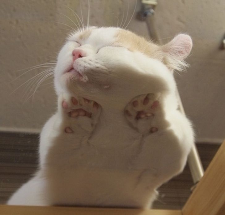 48b2c053efb1eeea1defe44425