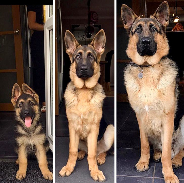 48b4435a34aaae8ff65d82fd05