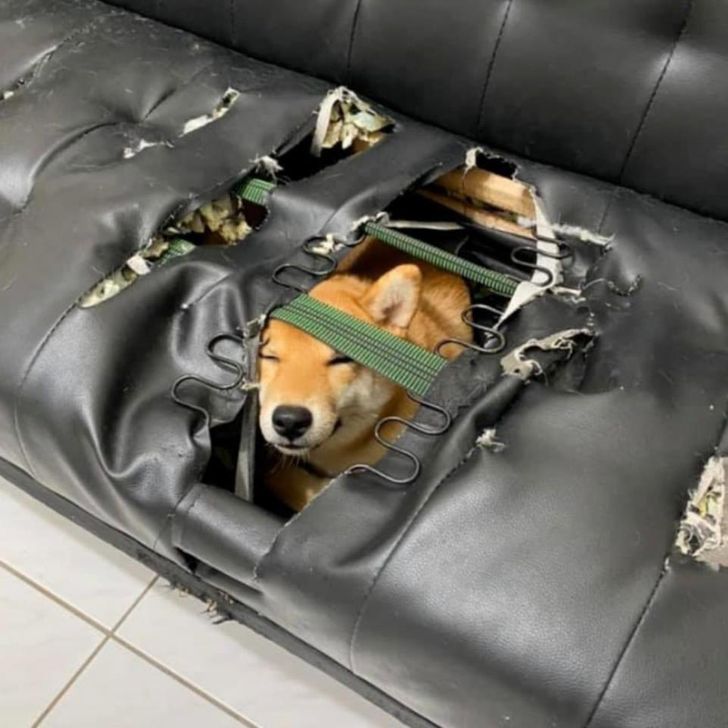 48bd455c83aacadb7c2bc99181