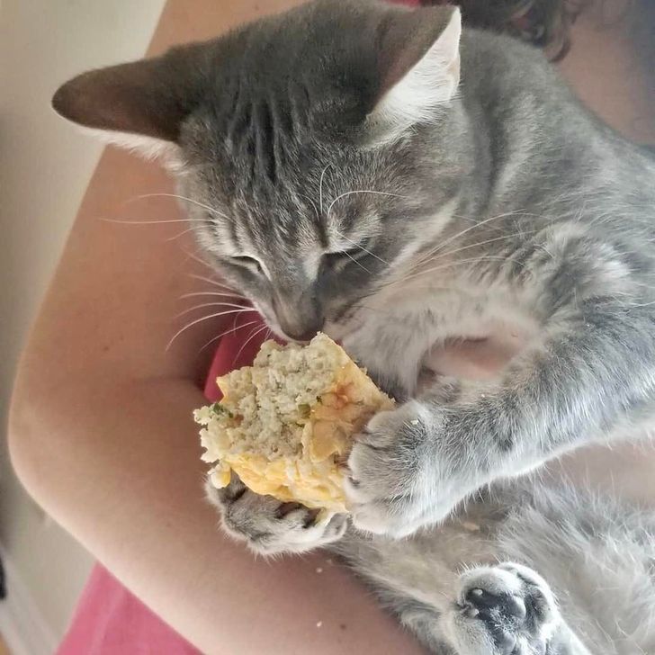 48c9f552bb825f3a21f9504a5c