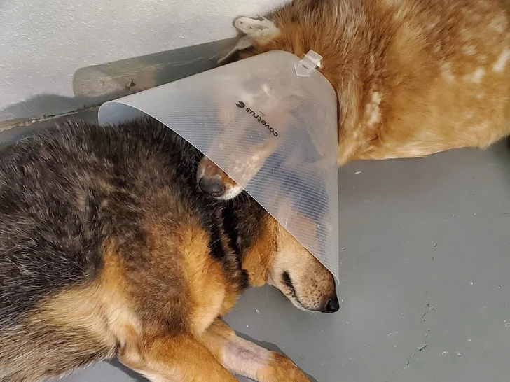 48cb0857809cc1a9aae2e907cb