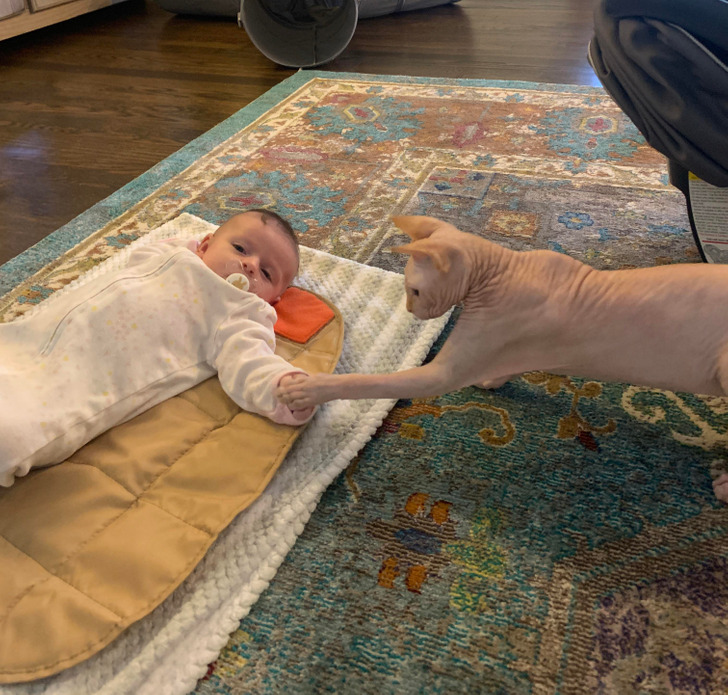 48cd665148be36c8c352bddc2a