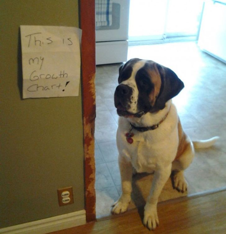 48d0e359668e4a98628f6ecf55