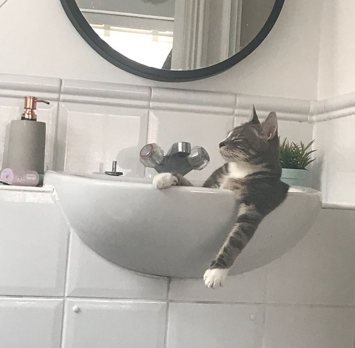 48d30f5ed9a76c6a86a1d335f6