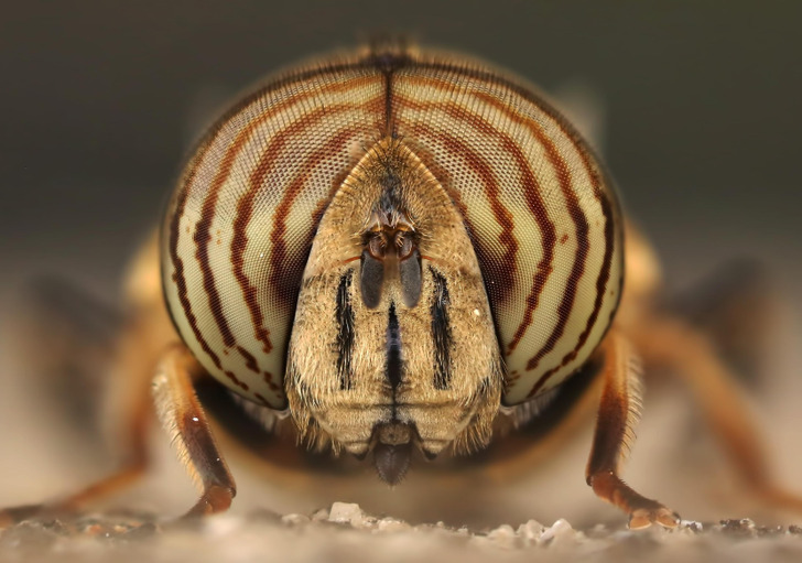 48e0c75531a12781288986789c 48e0c75531a12781288986789c