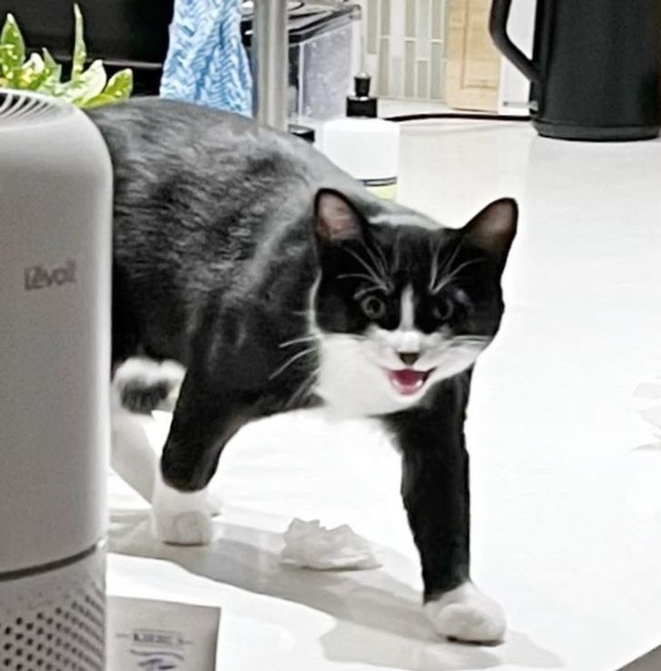 48e7cc52b58ac977def5bfa688