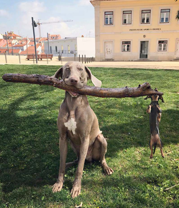 48ee5c54559bf6e90d17750276