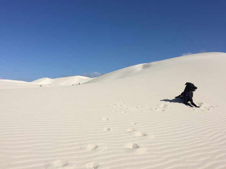 48f18856f9b70742a23915d1d4