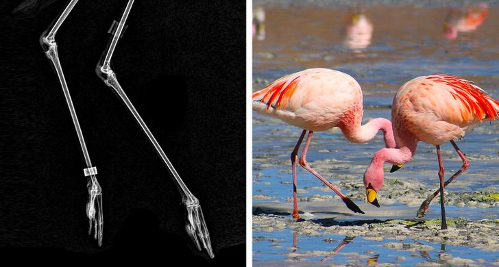 48fb505365858422a5f8b1fe7c