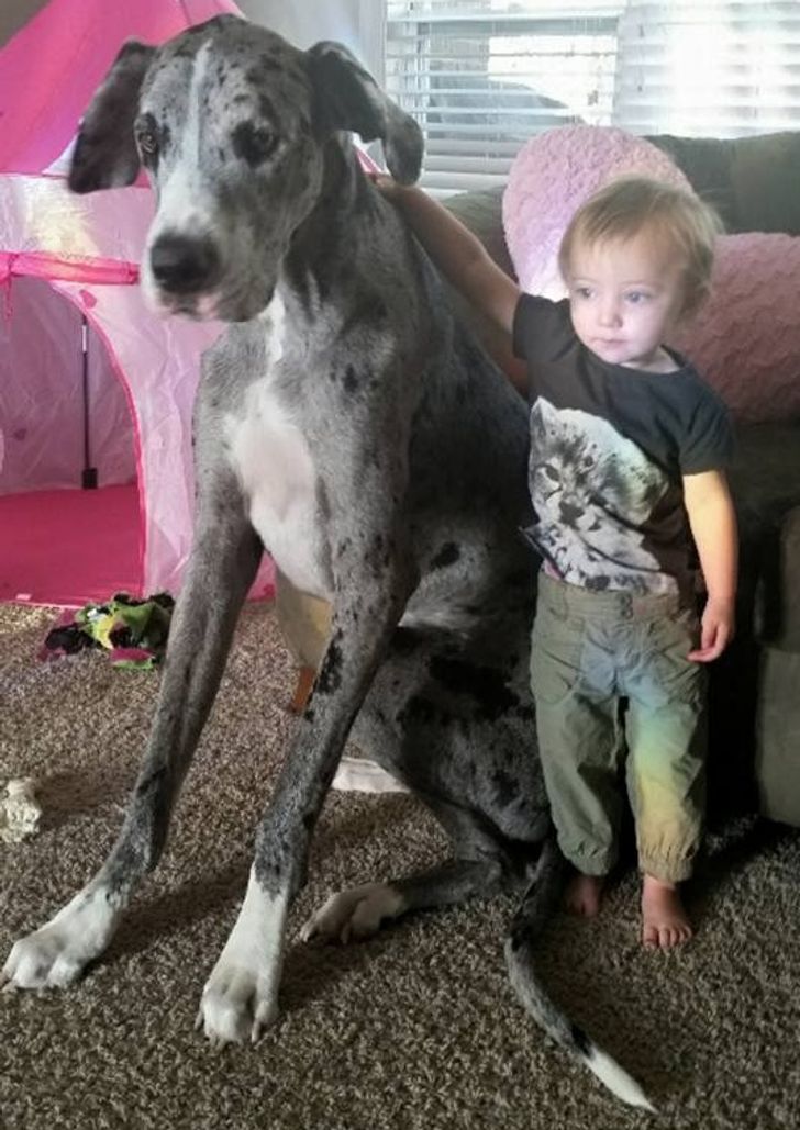 48fb79543e8530f5e9ffb72e0a