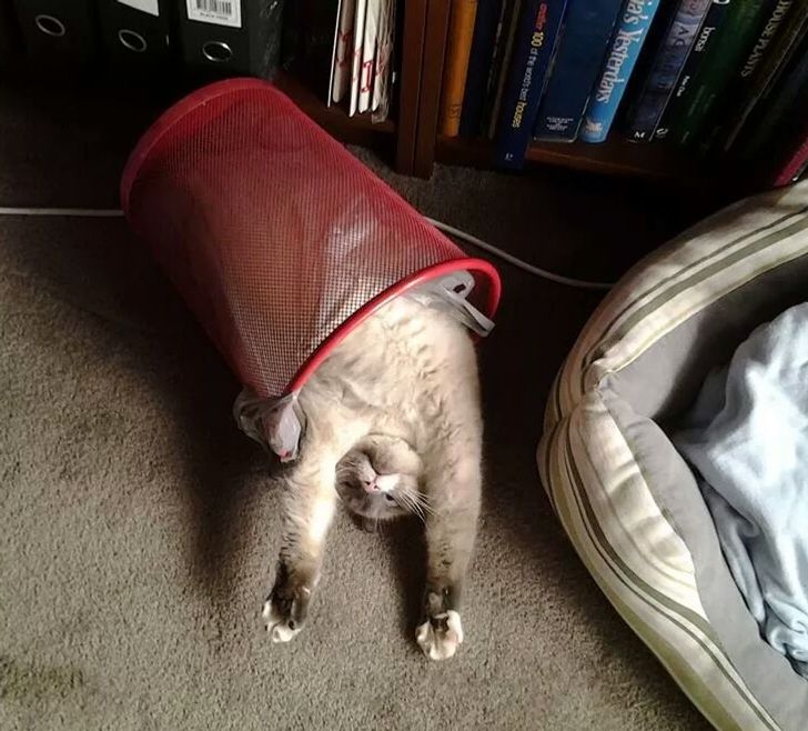 49086d52deb242c31c3ab12dbc