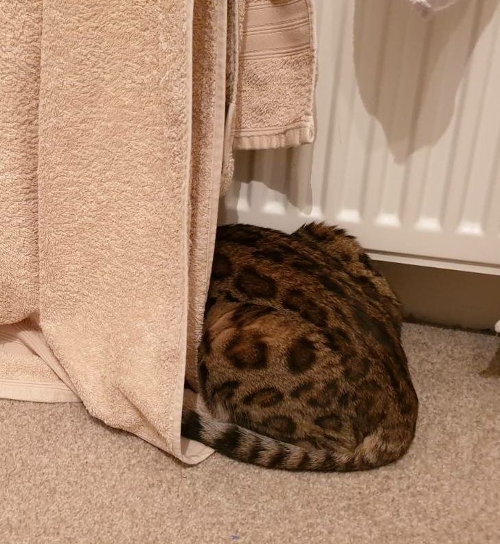 49093d5921914fb9c45b300ff1