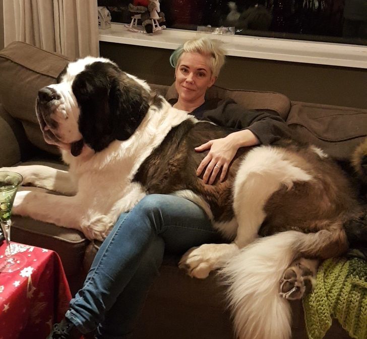 490c9d52768679cb14e9cff347