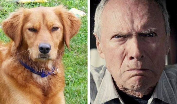 49182155b38a0162ec47234a68