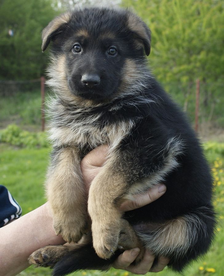 491ce25448b3ff3badda5c352d