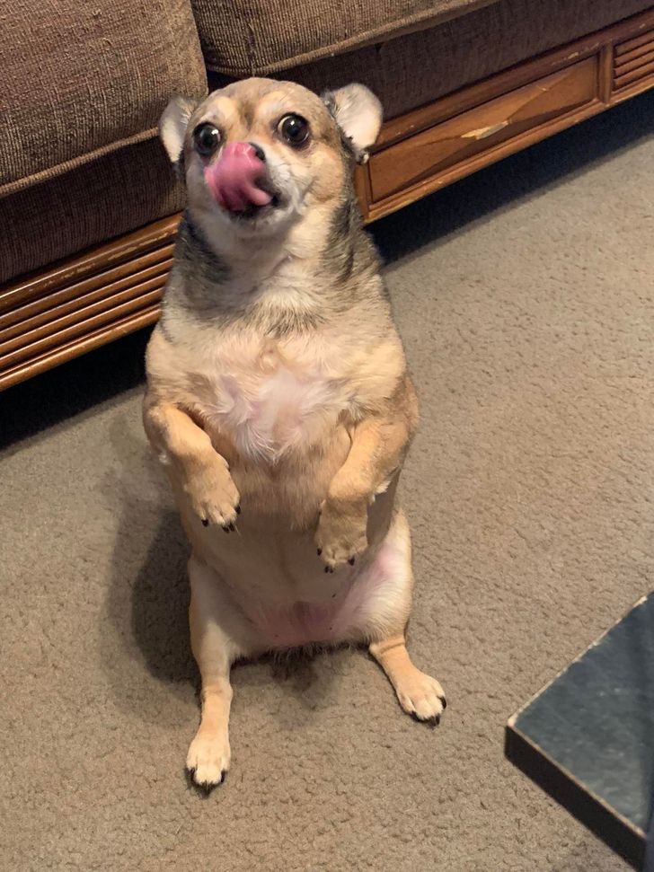 491cf6569cb4b1781a2a25bf23 491cf6569cb4b1781a2a25bf23