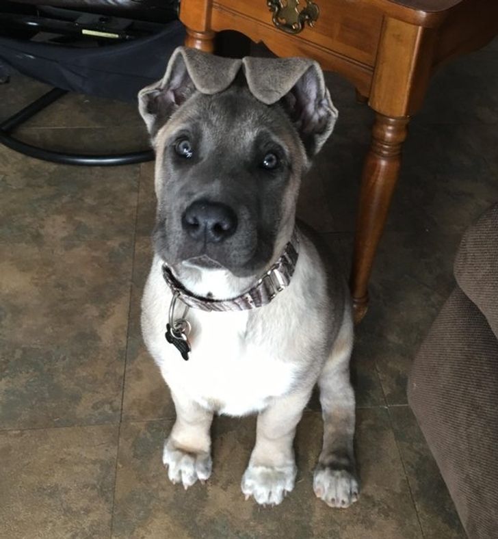 4924b85178b416f93834d5ee65