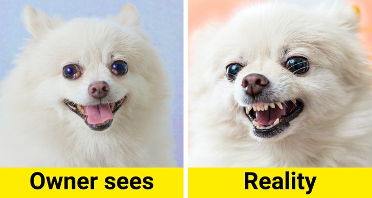 492bcc5251bf526e2365728d27