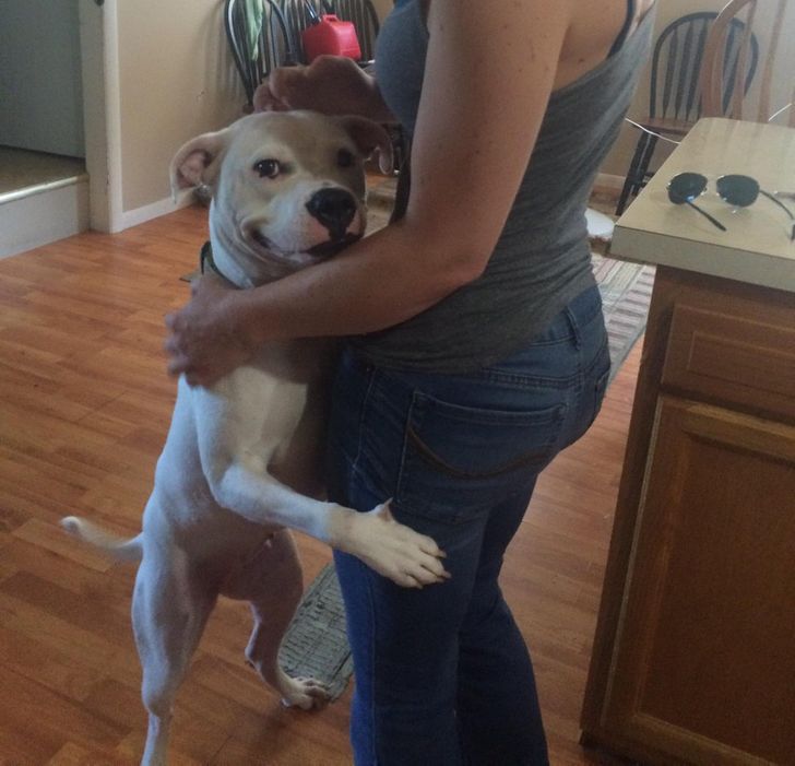 4931685ee5829d2041fbfa82f0