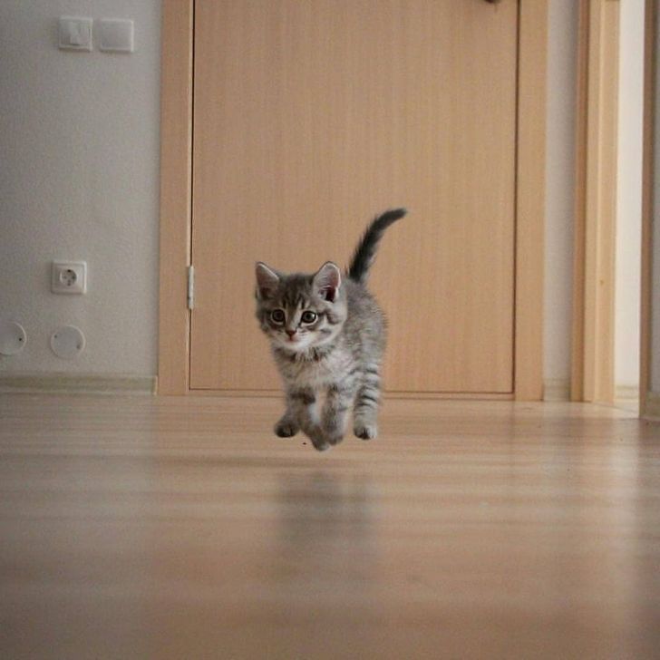 4932bd5f63a44adb812bebe415