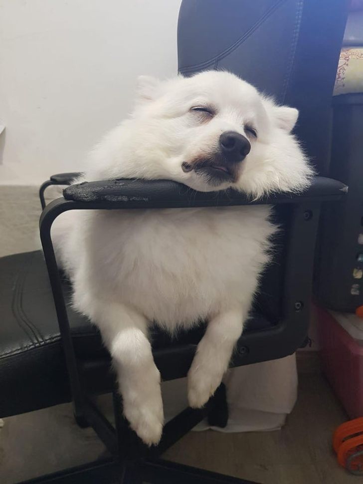 4933ad501eb785bec4bb0332d8