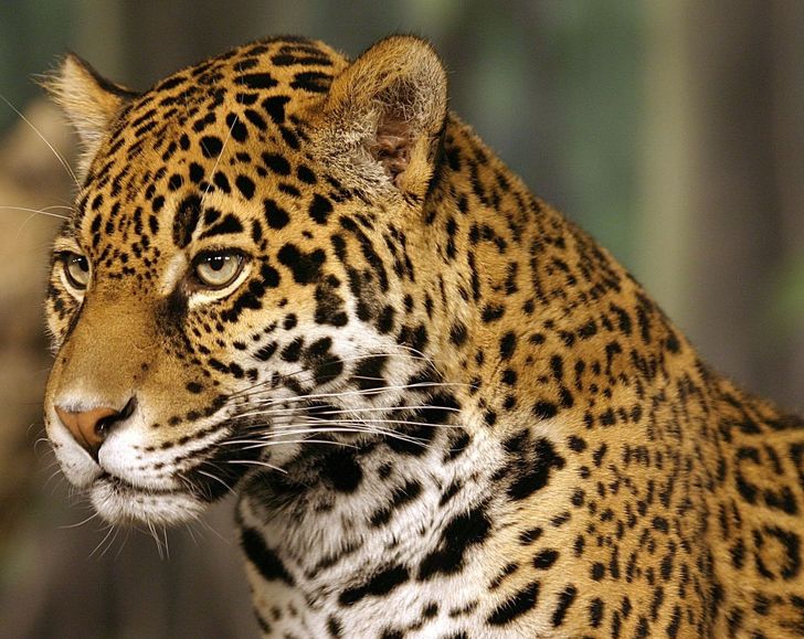 4936fe5b2084532d28e9abe001